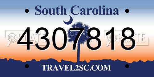 4307818 South Carolina License Plate