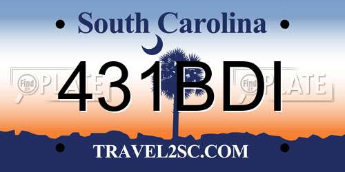 431BDI South Carolina License Plate