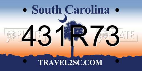 431R73 South Carolina License Plate