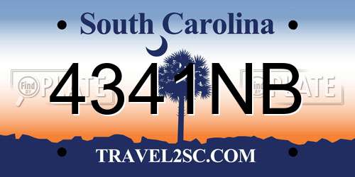 4341NB South Carolina License Plate