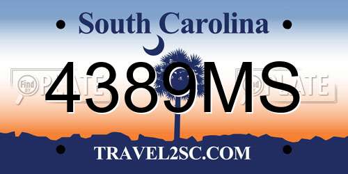 4389MS South Carolina License Plate