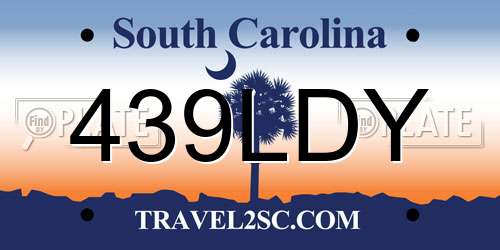 439LDY South Carolina License Plate