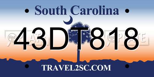 43DT818 South Carolina License Plate