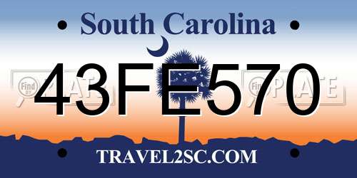 43FE570 South Carolina License Plate