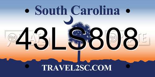 43LS808 South Carolina License Plate