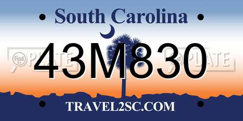 43M830 South Carolina License Plate