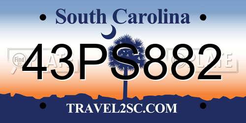 43PS882 South Carolina License Plate