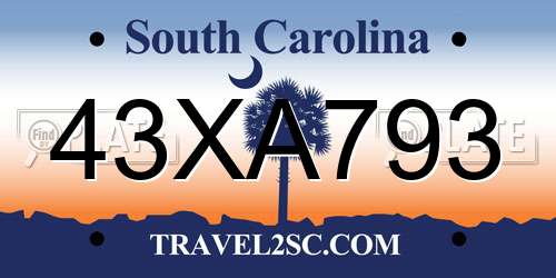 43XA793 South Carolina License Plate