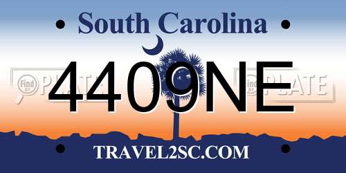 4409NE South Carolina License Plate