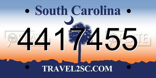 4417455 South Carolina License Plate