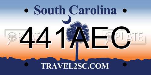 441AEC South Carolina License Plate