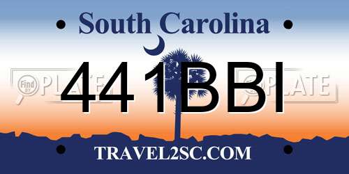 441BBI South Carolina License Plate