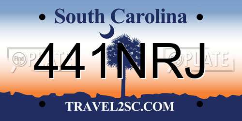 441NRJ South Carolina License Plate