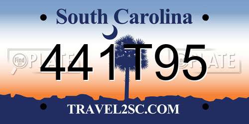 441T95 South Carolina License Plate