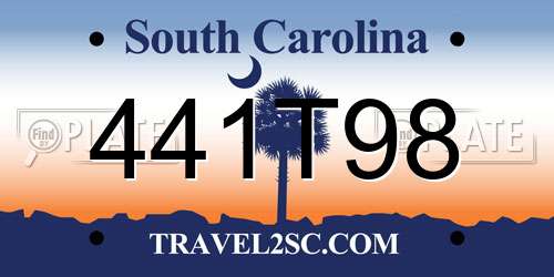 441T98 South Carolina License Plate