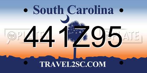 441Z95 South Carolina License Plate