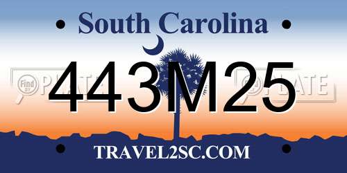 443M25 South Carolina License Plate