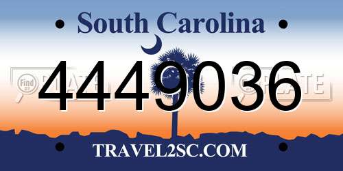 4449036 South Carolina License Plate