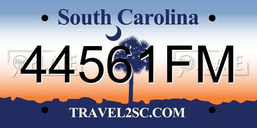44561FM South Carolina License Plate