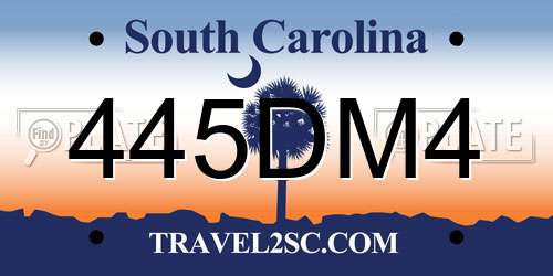 445DM4 South Carolina License Plate