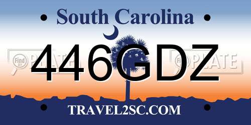 446GDZ South Carolina License Plate