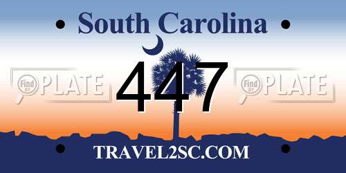 447 South Carolina License Plate