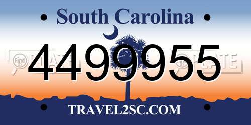 4499955 South Carolina License Plate