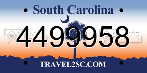 4499958 South Carolina License Plate