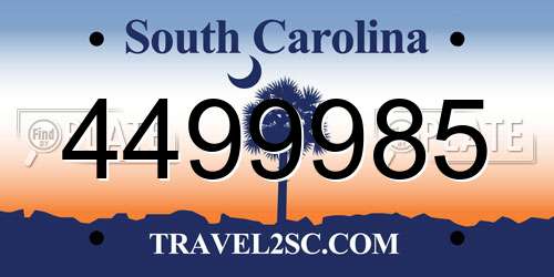 4499985 South Carolina License Plate