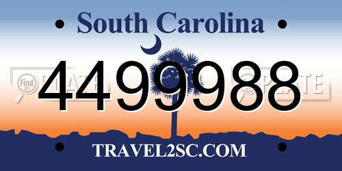 4499988 South Carolina License Plate