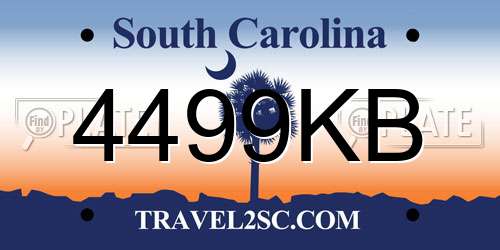 4499KB South Carolina License Plate