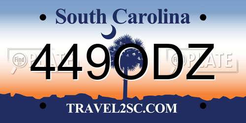 449ODZ South Carolina License Plate
