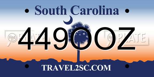 449OOZ South Carolina License Plate
