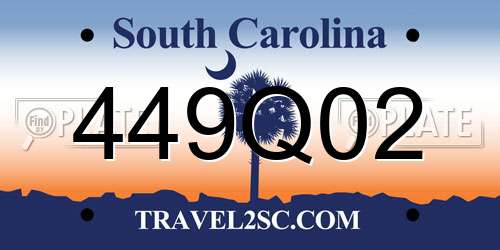 449Q02 South Carolina License Plate