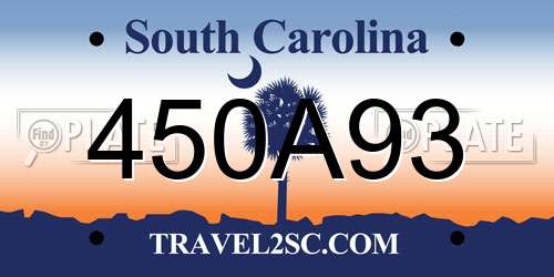 450A93 South Carolina License Plate