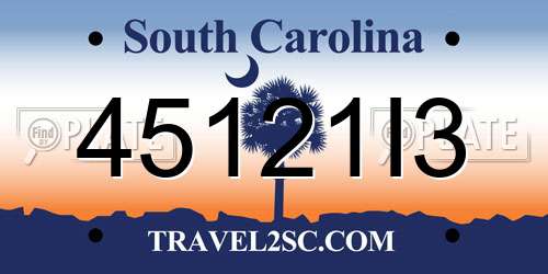 45121I3 South Carolina License Plate