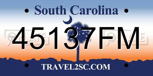 45137FM South Carolina License Plate
