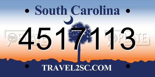 4517113 South Carolina License Plate