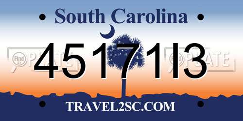 45171I3 South Carolina License Plate