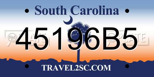 45196B5 South Carolina License Plate
