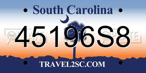 45196S8 South Carolina License Plate