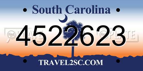 4522623 South Carolina License Plate
