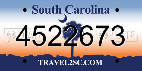 4522673 South Carolina License Plate