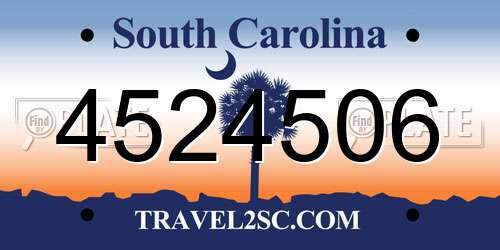 4524506 South Carolina License Plate