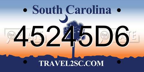 45245D6 South Carolina License Plate