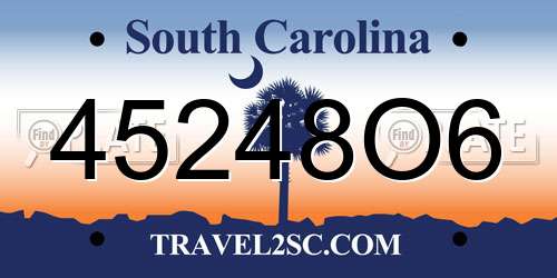 45248O6 South Carolina License Plate