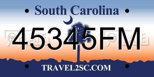 45345FM South Carolina License Plate
