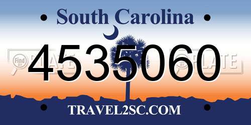 4535060 South Carolina License Plate