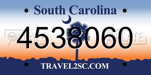 4538060 South Carolina License Plate