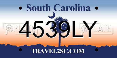 4539LY South Carolina License Plate